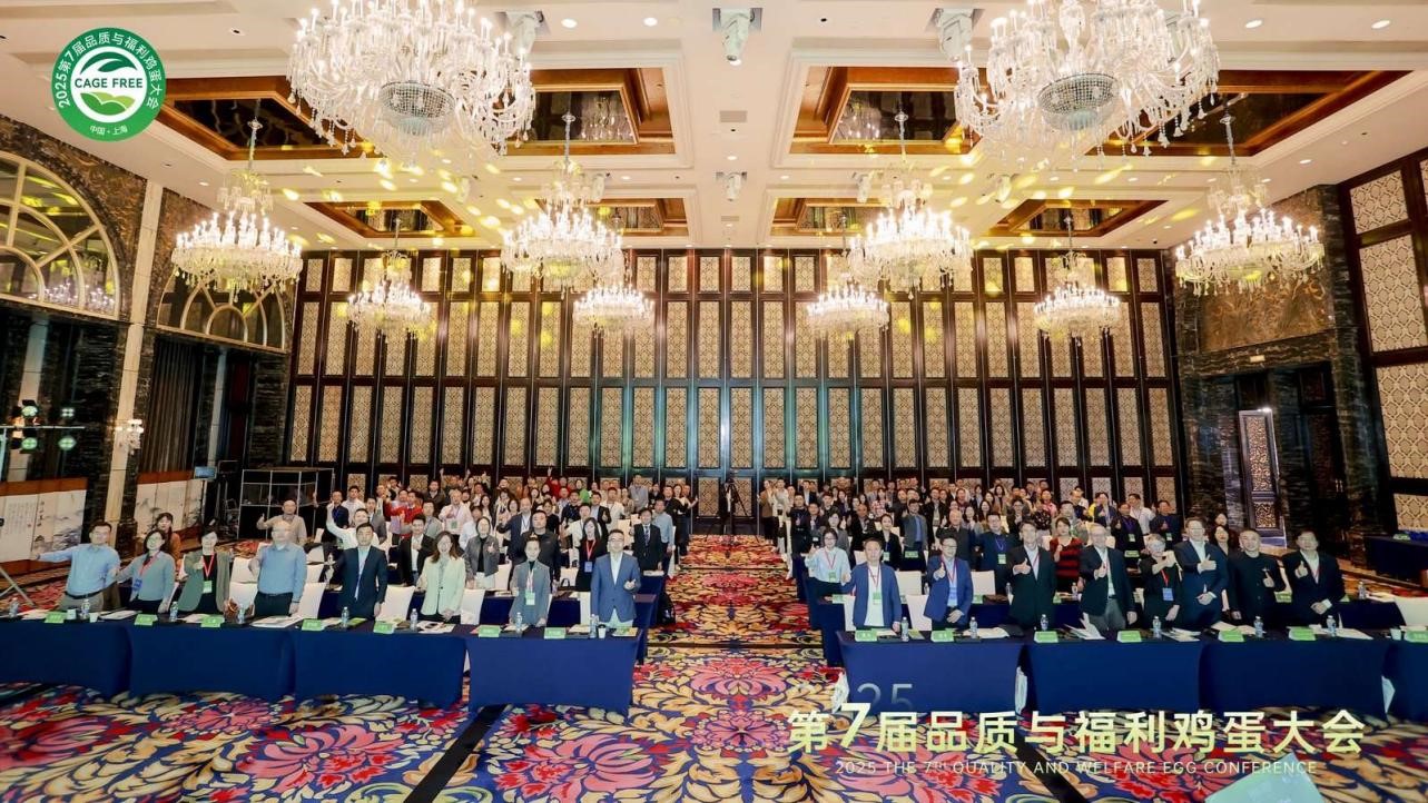 第七屆品質與福利雞蛋年度盛會在滬圓滿結束
